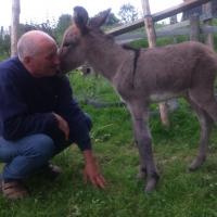 GAMIN DE LA JAUNAIS à la naissance 