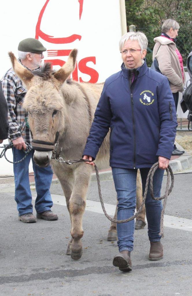 Moyaux2016 concours cot 0136