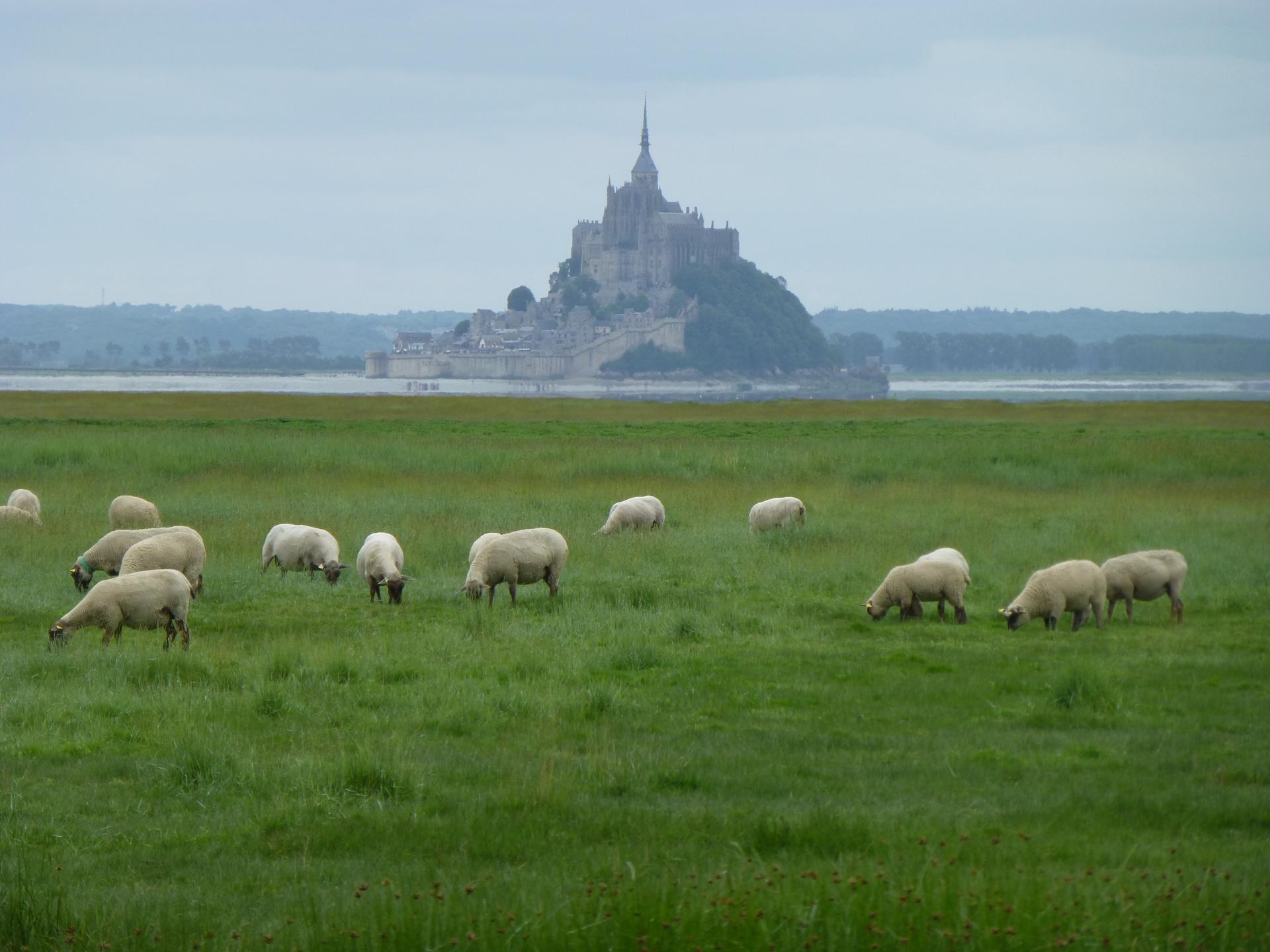 Dernières photos